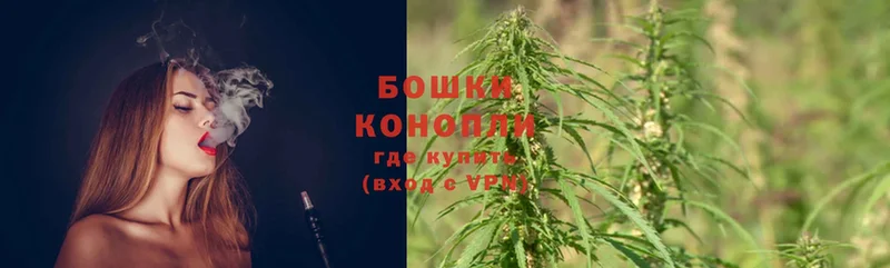 Канабис OG Kush  Заполярный 